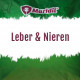 Leber & Nieren