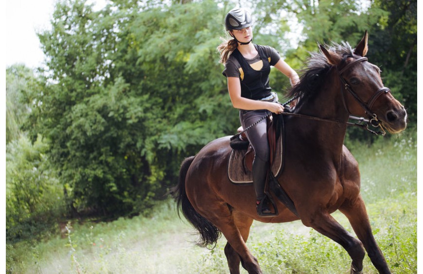 Leckerli beim Training - motiviere dein Pferd mit einer Belohnung