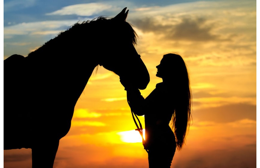 Die Gesundheit deines Pferdes: Tipps für gesunde Ernährung und Bewegung